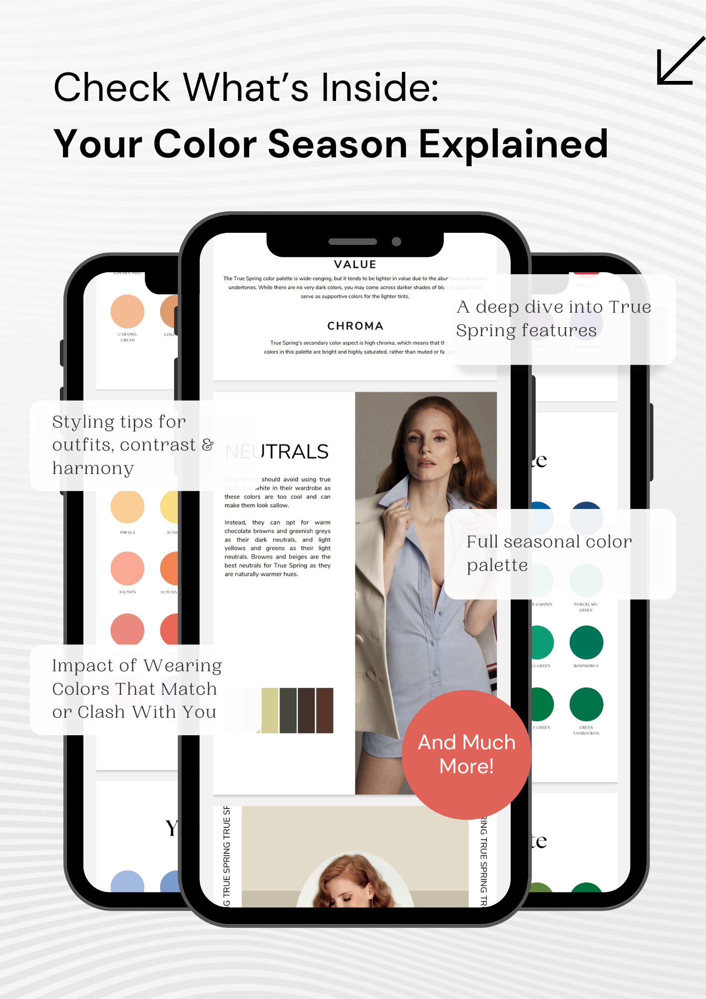 True Spring | Seasonal Color Palette